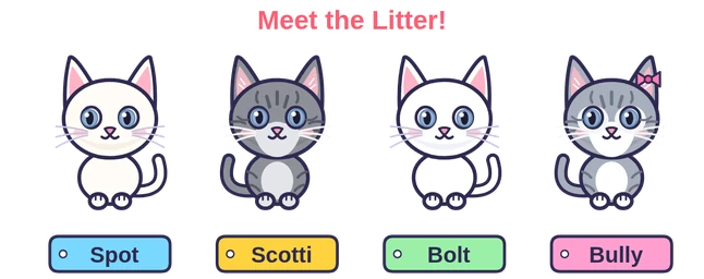 The kittens: Spot, Scotti, Bolt and Bully
